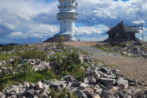 Lapponia: Escursione guidata nella natura incontaminata di Luosto
