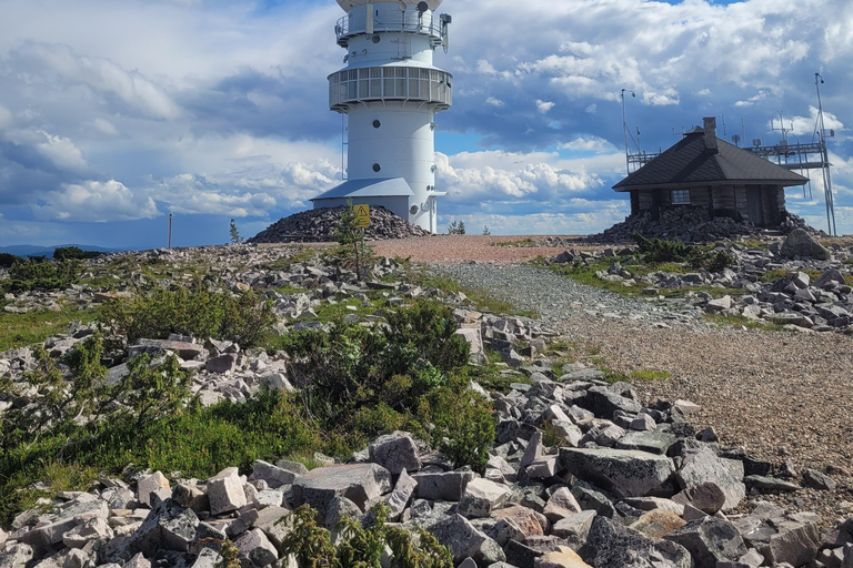 Lapponia: Escursione guidata nella natura incontaminata di Luosto