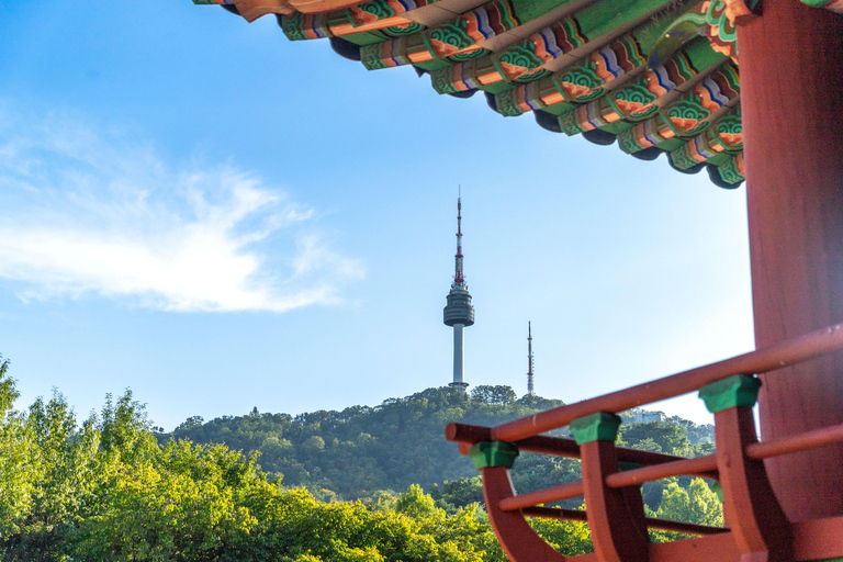 Seoul: Private City Tour with Guide and Photos