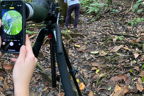 Corcovado National Park: One-Day Tour from Puerto Jimenez!