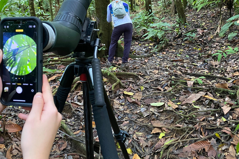 Nationaal Park Corcovado: Eendaagse tour vanuit Puerto Jimenez!