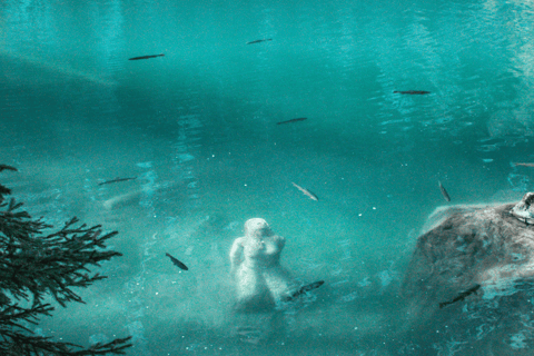 Depuis Zurich : Excursion d&#039;une journée au lac Blausee et au charmant Interlaken