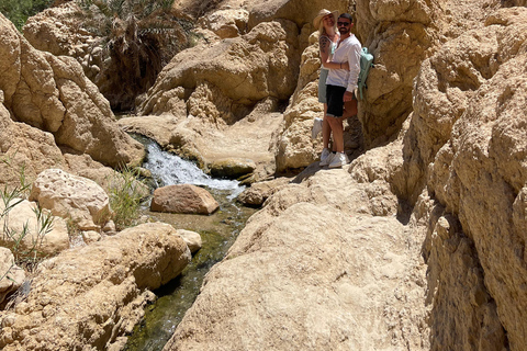 From Tunis: 2-Day Star Wars, Sahara Camp & Oasis Adventure