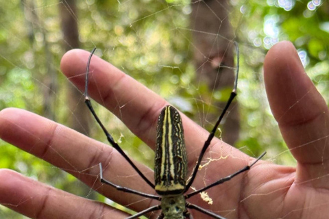 4 Hour Sinharaja Rainforest Tour