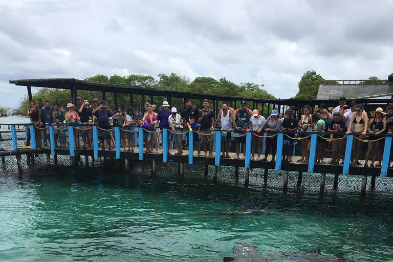 Wizyta w oceanarium: Cartagena de Indias