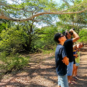 West Bali: Bird watching Tour
