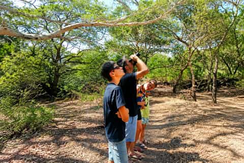 West Bali: Bird watching Tour - Image 3