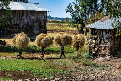 Addis Abeba - 1-dniowa wycieczka do Debre Libanos