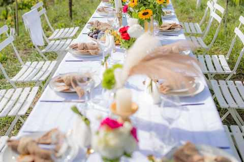 Dinner in the vineyard French Riviera