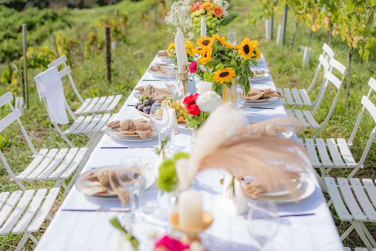 Cena nel vigneto Costa Azzurra