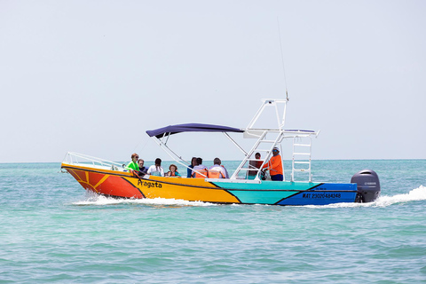 Holbox: Swimming with Wild Whale Sharks Boat Trip