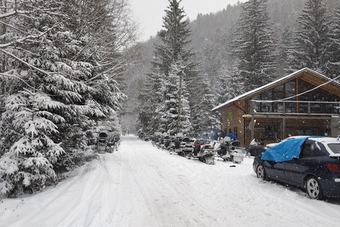 Bucharest: Carpathian Mountains Snowmobile Tour Sinaia