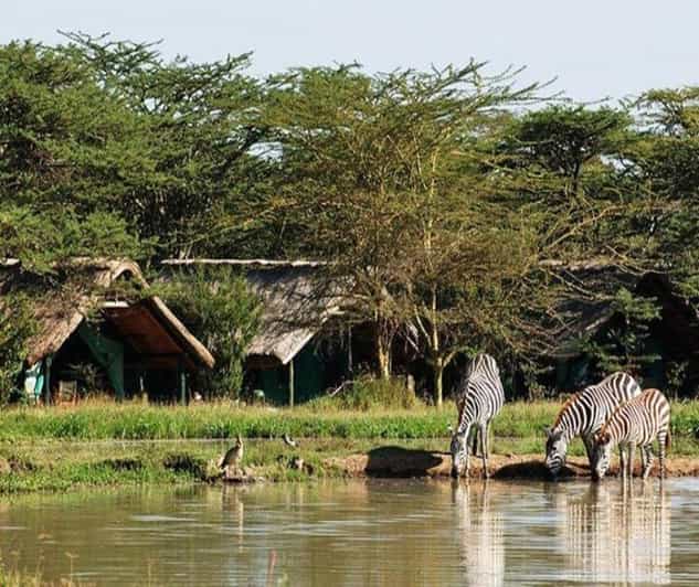 2-Days Lake Elementaita National Park Safari | GetYourGuide