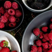 North West: Private Tasmania Food, Wine, Beer and Cider Tour