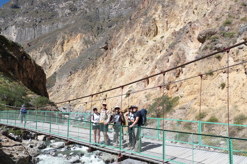 Canyon du Colca : journée complète - randonnée de 1h30, condors et vues panoramiquesCanyon de Colca : Excursion d'une journée, randonnée d'une heure et demie, condors et vue
