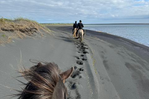 Südisland: Reiten am schwarzen Strand Tour