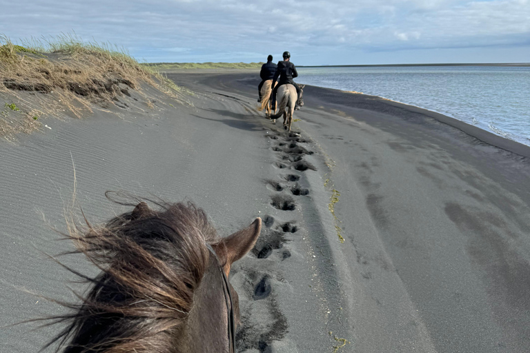 Südisland: Reiten am schwarzen Strand Tour