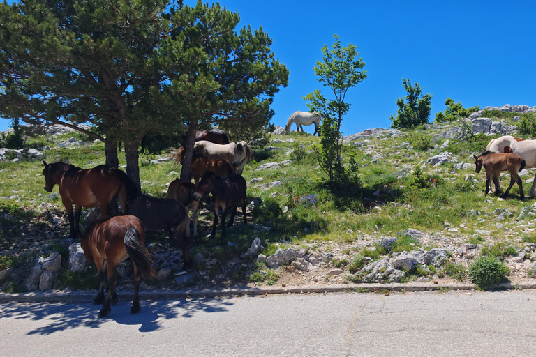 Makarska: Baggy Skywalk & Biokovo Viewpoint Tour Makarska: Baggy Skywalk & Biokovo Viewpoint Tour