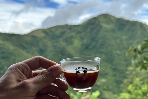 Coffee and Exotic Fruit Tour from Medellín with Lunch Coffee and Exotic Fruit Tour from Medellín with Lunch.