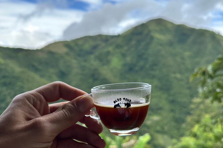 Coffee and Exotic Fruit Tour from Medellín with Lunch Coffee and Exotic Fruit Tour from Medellín with Lunch.