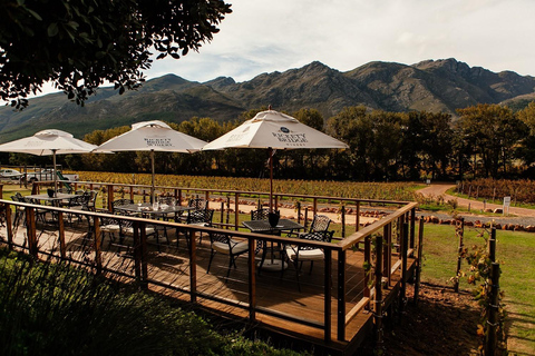 Cape Town: Aquila Big Five Safari with Private Transfers Sunset Safari
