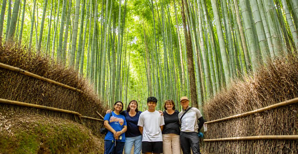 Kyoto: Arashiyama Bamboo Grove, Monkey Mountain Walking Tour