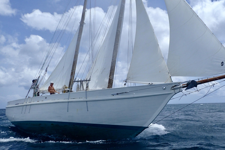 St. Kitts i Nevis: Schooner Alexander Hamilton Sailing ...