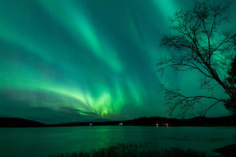 Rovaniemi: Excursión de Caza de Auroras Boreales con Garantía