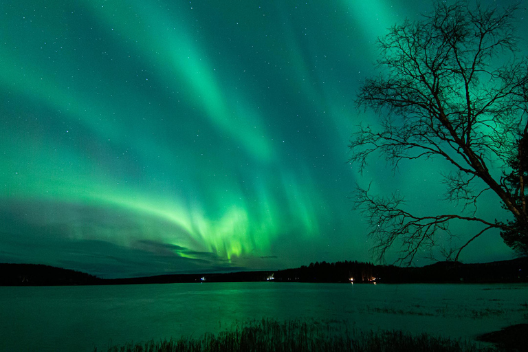 Rovaniemi: tour di caccia all&#039;aurora boreale con garanzia