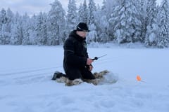 Rovaniemi: Private Eisangeln- & Schneemobil-Schlittenfahrt