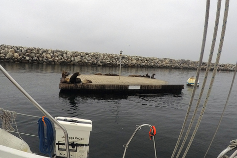 Marina Del Rey: 2 uur privé catamarantour door de jachthaven