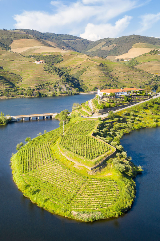 From Porto: Full-Day Douro Valley Trip