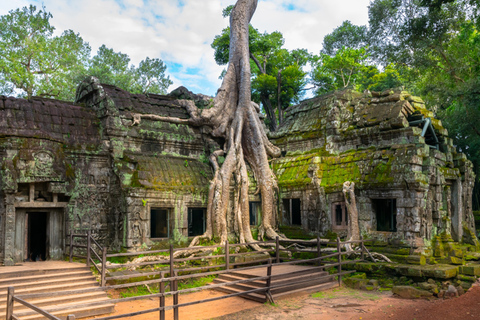 2 Dagen Koh Ker Groep, Beng Mealea &amp; Tonle Sap Meer