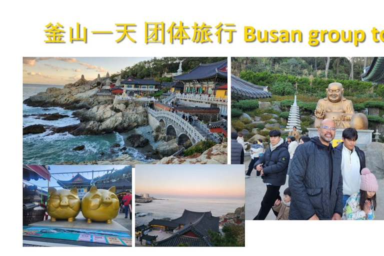 Busan: Kleingruppentour für Kreuzfahrtschiffpassagiere[kleine Gruppe] Englischsprachiger Reiseleiter