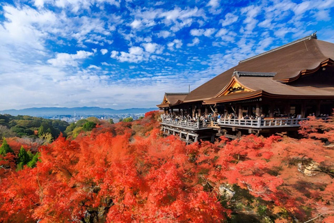 Osaka/Kyoto: Kyoto and Uji UNESCO Word Heritages Bus Tour Osaka: Kyoto and Uji UNESCO Word Heritages Bus Tour