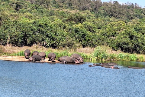 Nairobi National Park und Giraffe Center Tour Erlebnis