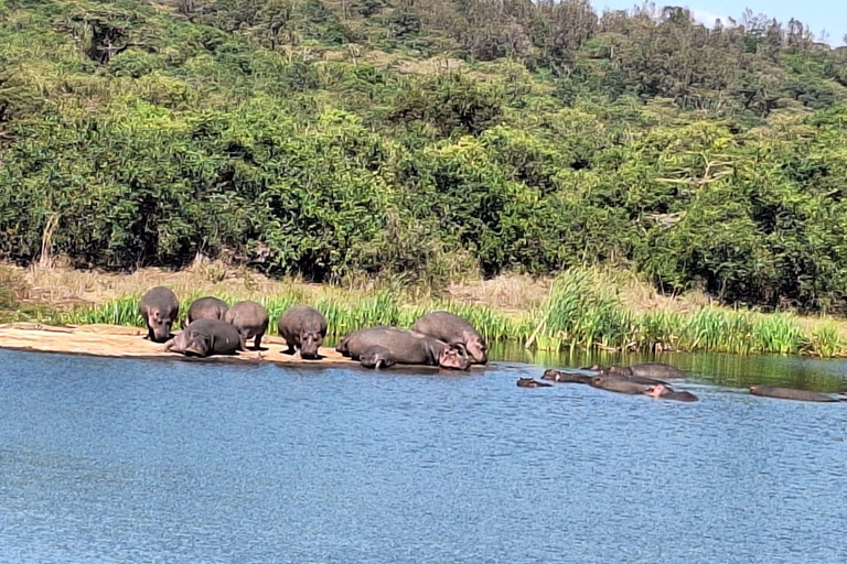 Nairobi National Park und Giraffe Center Tour Erlebnis