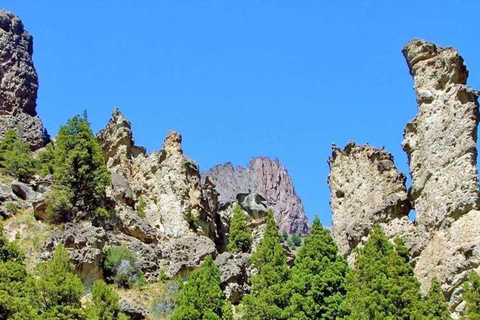 Bariloche: privétour door de betoverde vallei met lunchPrivétour door de Betoverende Vallei met lunch vanuit Bariloche