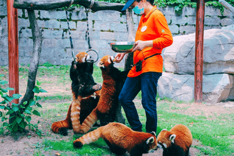 Xangai: Ingresso para o Parque dos Animais Selvagens