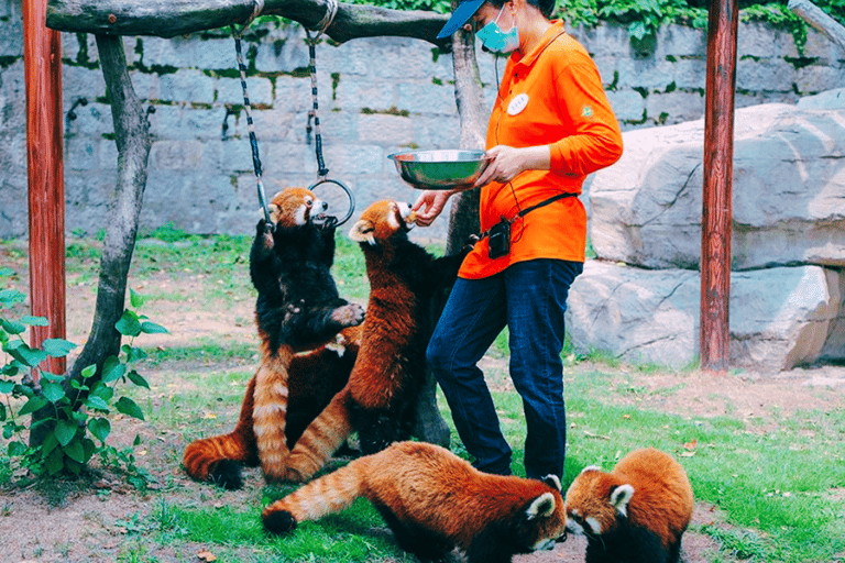 Shanghai: Biljett till Wild Animal Park