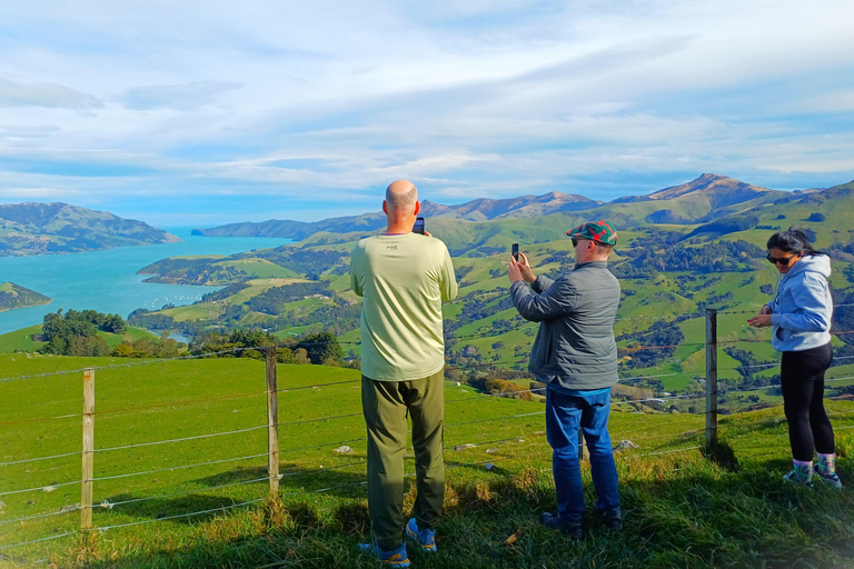 Lyttelton: Akaroa including The Giants House Shore Excursion Small Group Shore Excursion: Akaroa, from Lyttelton