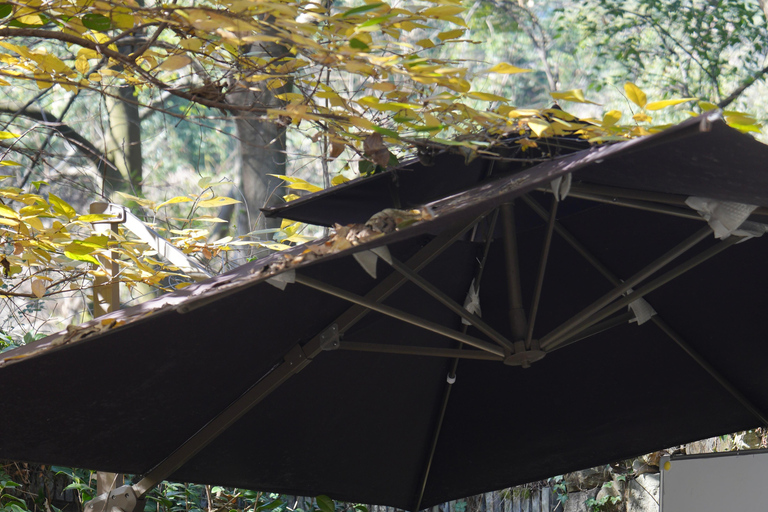 Hangzhou: Tai Chi Class and Ancient Streets Walking Tour