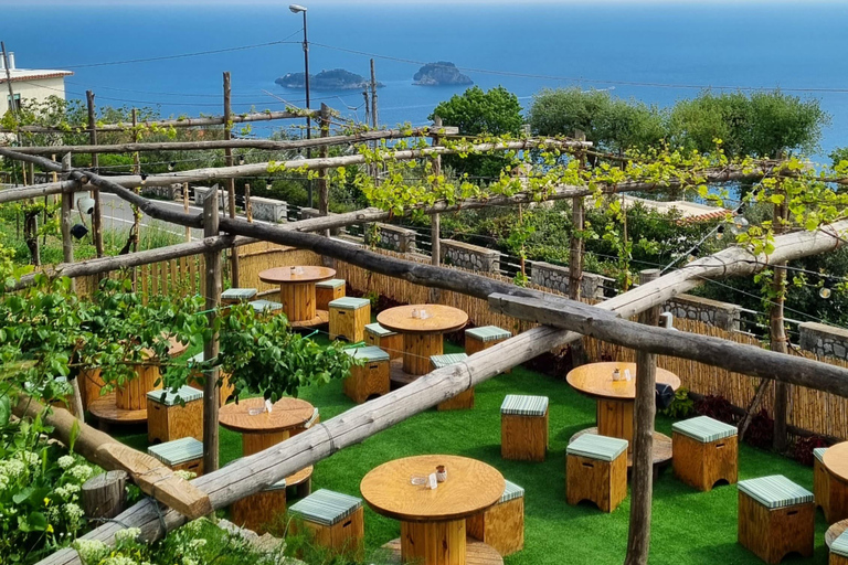 Positano: lekcja gotowania i degustacja vista li Galli