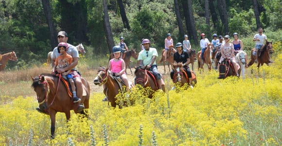 Marmaris: Horseback Riding in the Forest w/Hotel Pickup