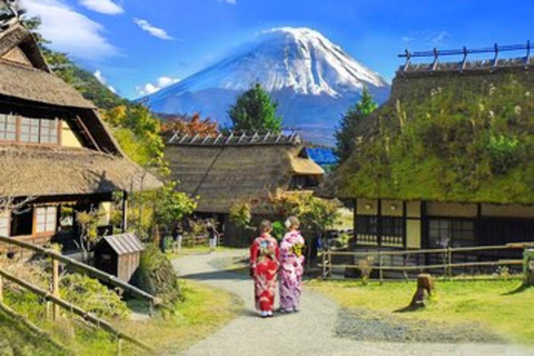 From Tokyo: Private Mount Fuji Day Trip with Driver
