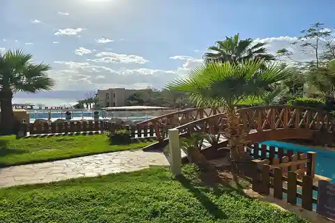 Private Half Day Tour to the Dead Sea from Amman