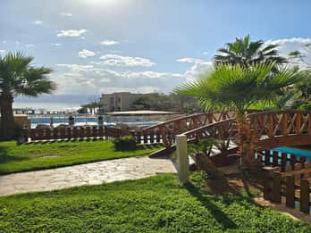 Private Half Day Tour to the Dead Sea from Amman