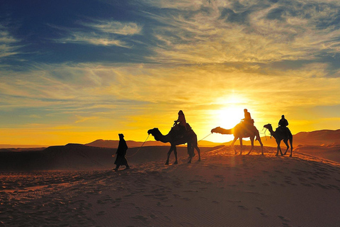 From Marrakech: 2-Day Zagora Desert Tour Camel & Luxury Camp Shared Tour With Luxury Camp