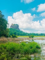 Sigiriya Rock Fortress Day Tour - Housity