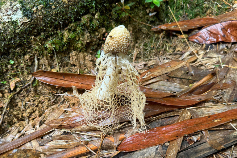 Phuket: Khao Sok 3 Day 2 Night Adventure Escape with 7 Meals